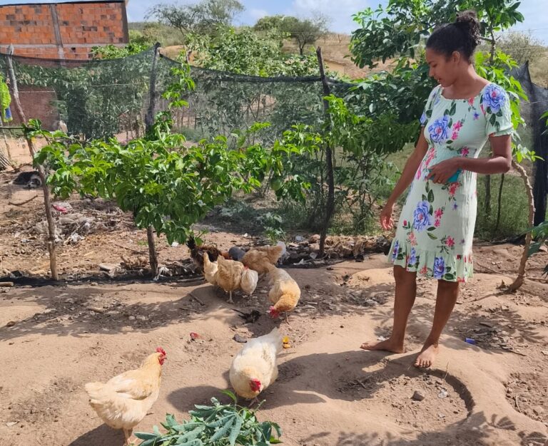 QUINTAL FORTALECIDO: AGRICULTORA AUMENTA PRODUÇÃO DE GALINHAS COM APOIO DA ASSISTÊNCIA TÉCNICA