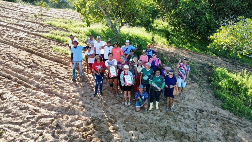 Plantio de corredores agroecológicos na comunidade Terra da Lua, no município de Banzaê-BA.
